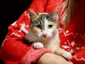 Geduld gesucht, Liebe gefunden: Das ist Mari