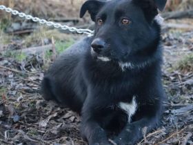 Lebensfreude pur: Mindy möchte ihre Zukunft mit dir teilen