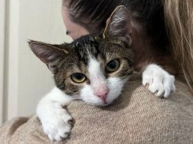 Dietje: Deine tägliche Portion Glück und Action.