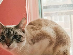 Belle sucht liebevolle Menschen