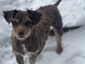 Freundliche Seele Nela möchte noch viel erleben