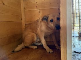 Wer schenkt Maria ein Leben in Freiheit?