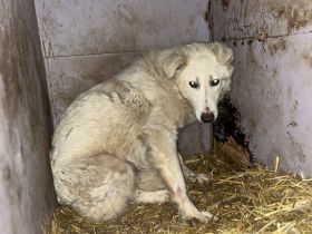Vila: Für Menschen, die verstehen, dass Vertrauen Zeit braucht