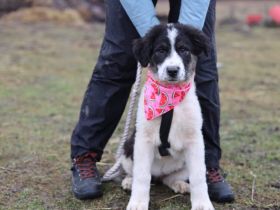 Lass dich von der Entdeckerin Reni verzaubern