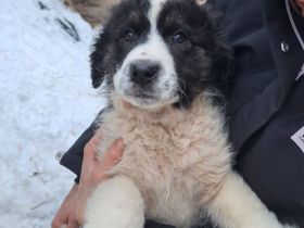 Lass dich von der Entdeckerin Reni verzaubern