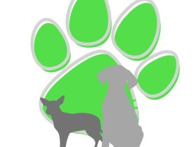 Hundeschule FFB u. Umgebung