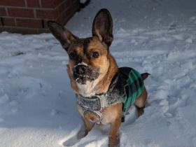 Kleine Shazia wartet auf ihr Zuhause