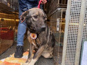 Celi wartet auf dich