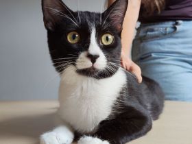 Die Schwestern Magui und Mota suchen ein liebevolles Zuhause