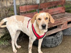 Ruhige und aufmerksame Florine