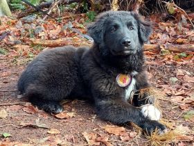 Süßer Baxter will mit dir in sein neues Leben starten