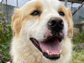 Candy, 10/22 - Sunshine-Girl sucht 2te Chance