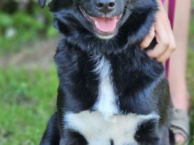 Paola, 08/23 - kleiner Sonnenschein sucht Familie
