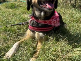 Skay, 08/24 - aktives Mädel sucht aktive Menschen