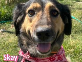 Skay, 08/24 - aktives Mädel sucht aktive Menschen