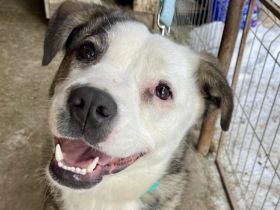 Wunderschöne Sunny wartet auf ihr Glück