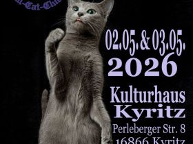 Internationale Katzenausstellung