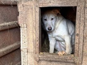 Stille Augen, die nach Frieden suchen: Cathy braucht ein Wunder