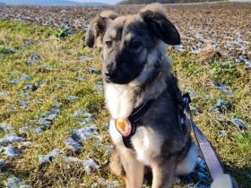 Eyra freut sich auf ihr neues Leben