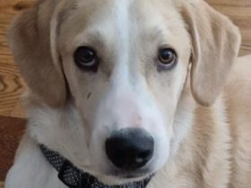 Armani, 07/25 - wartet in 81541 München