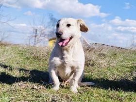 Irma ein super liebes Mädchen