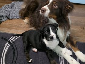 Unsere Jungs dürfen ausziehen