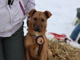 Zuhause gesucht für Tiana