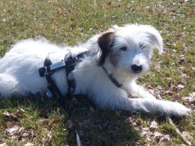 Die süße Dotty wartet auf dich