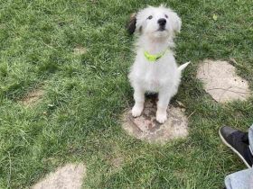 Die süße Dotty wartet auf dich