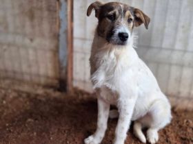 Melly soll nicht im Shelter aufwachsen