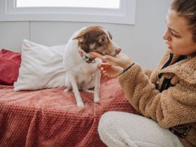 Knutschkugel Milka hat so viel mehr verdient