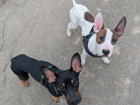 2 Jungs suchen noch ihr Traumzuhause