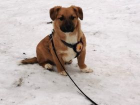 Herr Schröder wartet auf Dich