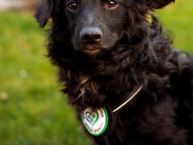 Ace such seine Herzensmenschen...