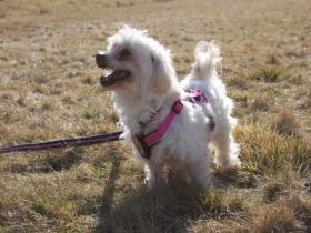 Mimi sucht ihre Familie