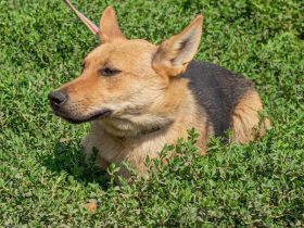 Beka, am Anfang etwas schüchtern, dann mit vollem Herzen dabei