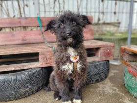 Carl hofft auf sein Ticket ins Glück