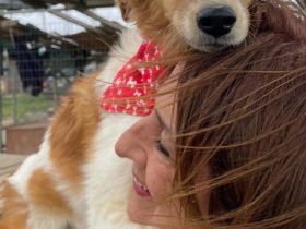 Foxy und Raoul 11/25 - bezaubernde Wuschelchen suchen Familien