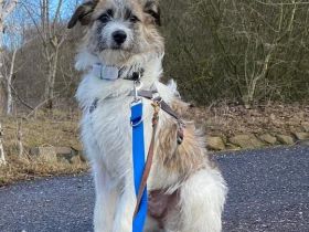 Marielu, jung, freundlich, ein kleines Juwel......sucht engagierte Menschen