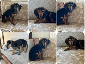 Gundi – vorsichtig und zurückhaltend