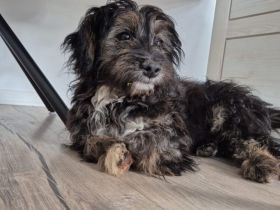 Jona ist bereit für viele Abenteuer