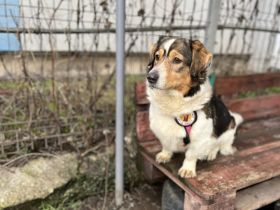 Tyra: Klein und neugierig, aber auch mit großem Herz!