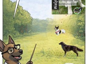 Hundeplatz Tecklenburg-Leeden