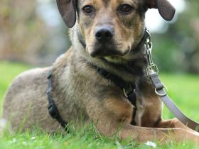 Mel möchte mit Dir die Welt entdecken.