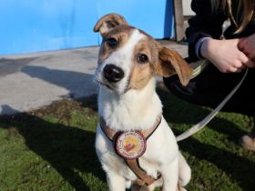 Anda sucht Familienanschluss