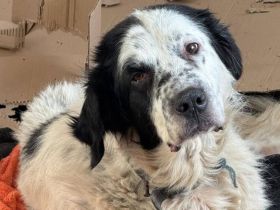 Notfall Robinson sucht guten Samariter