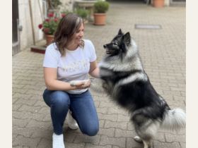 Tierphysiotherapie im Umkreis Limburg Weilburg für Hunde, Katzen und Ziegen