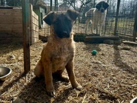 Charakterstarke Erika sucht gleichgesinnte Menschen