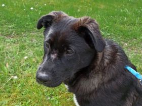 Süße Zoe wartet dringend auf ihren Herzensmenschen