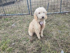 Etienne hofft auf sein Ticket ins Glück